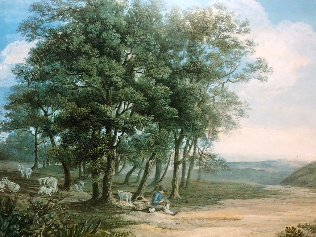 M. Dionigi, Paesaggio M. Dionigi, Paesaggio